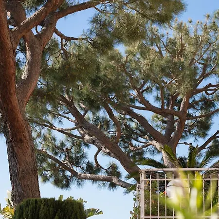 Lejlighed 152b - Casa Incantata, Patio Vista Mare, Vicina - Parcheggio Gratis Nella Proprieta